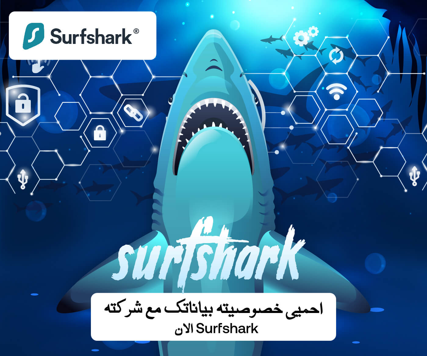 download surfshark